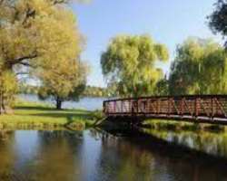 You can also enjoy the beautiful scenario of the Rideau Canal and Dow's lake while admiring the greenery of this park.